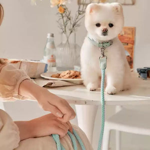 Double Pet Leash Hand Holding Rope Anti Bite Leather Dog Set XS S Teleplus hand holding rope collar