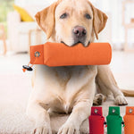 Durable Canvas Dog Toy in Red Green Orange Chew and Fetch Pet - Teleplus dog toy