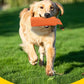 Durable Canvas Dog Toy in Red Green Orange Chew and Fetch Pet - Teleplus dog toy