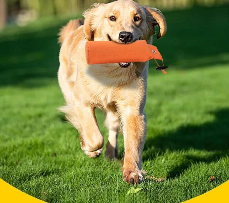 Durable Canvas Dog Toy in Red Green Orange Chew and Fetch Pet - Teleplus dog toy