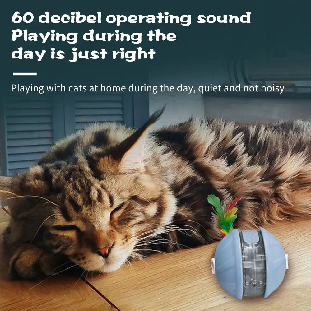 Boule de jouet chat amélioré avec mouvement irrégulier et plusieurs modes de travail