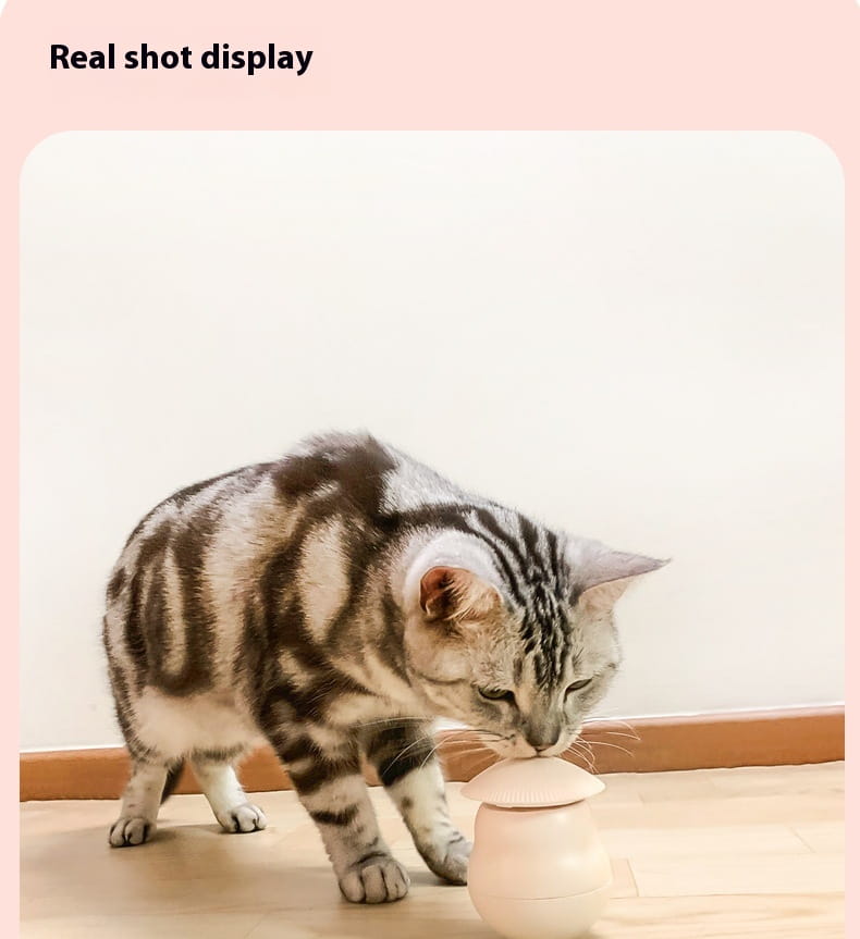 Pink lemmikloomade mänguasjad seavad koertele ja kassidele interaktiivse mängu ABS -plastkasti