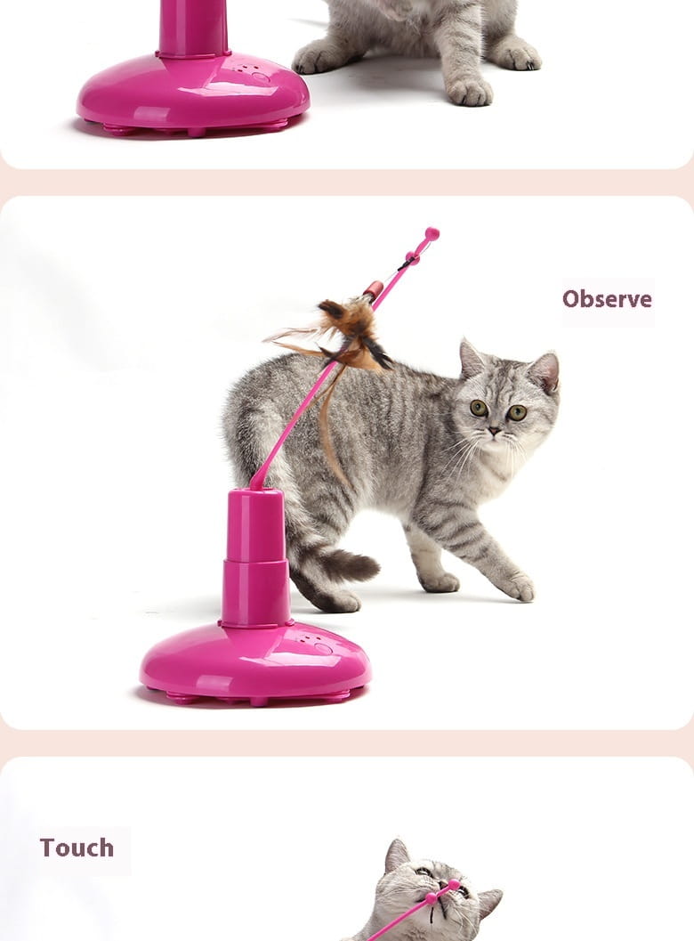 Gatto teaser bacchetta rosa rosa rotatore interattivo giocattolo per gatti