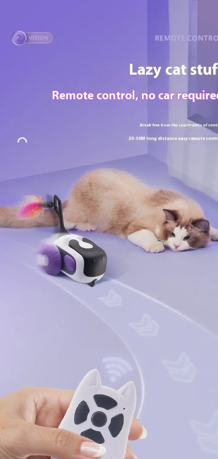 Nutikas naljakas kassi kaugjuhtimispuldi auto mänguasi lastele lilla või sinise plastiga