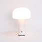 Creative USB Dual-purpose Charging And Plug-in Atmosphere Table Lamp Decoration