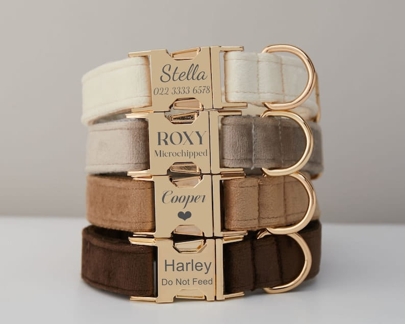 Velvet Dog Collar with Bow Tie Metal Buckle and Soft Cotton Lining