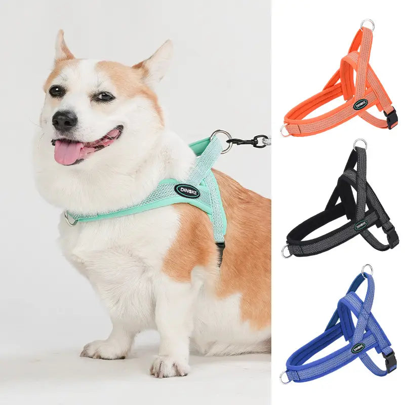 Regulowany pasek na klatkę piersiową do zwierząt domowych poliester z pierścieniem łańcuchowym