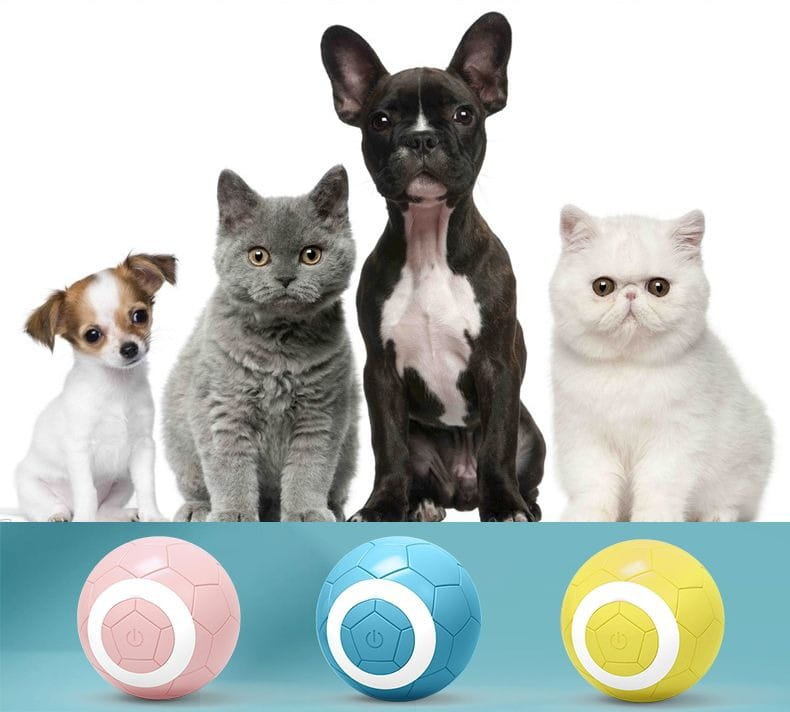 Värviline kummist lemmiklooma mänguasjapall koertele ja kassidele interaktiivne näri