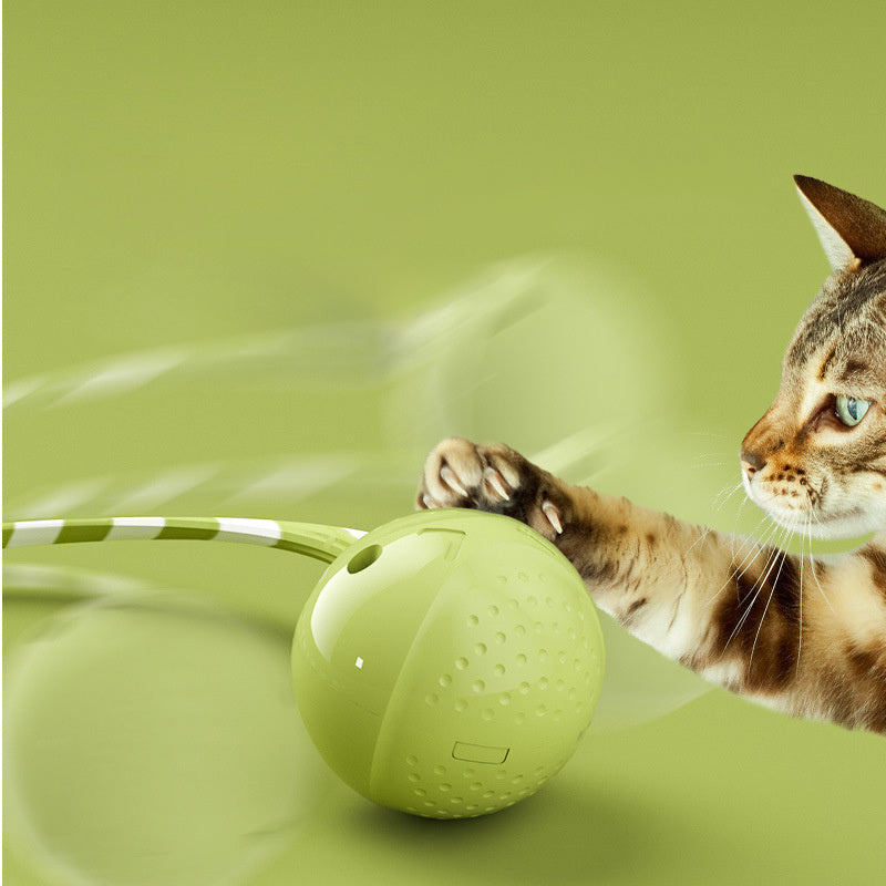 Electric Cat Wagging Tail Toy USB Rechargeable Battery Powered Pet Accessory