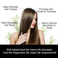Essential Oil for Dense Hair with Rosemary Jojoba and Castor Seed - Oils dense hair essential oil seed