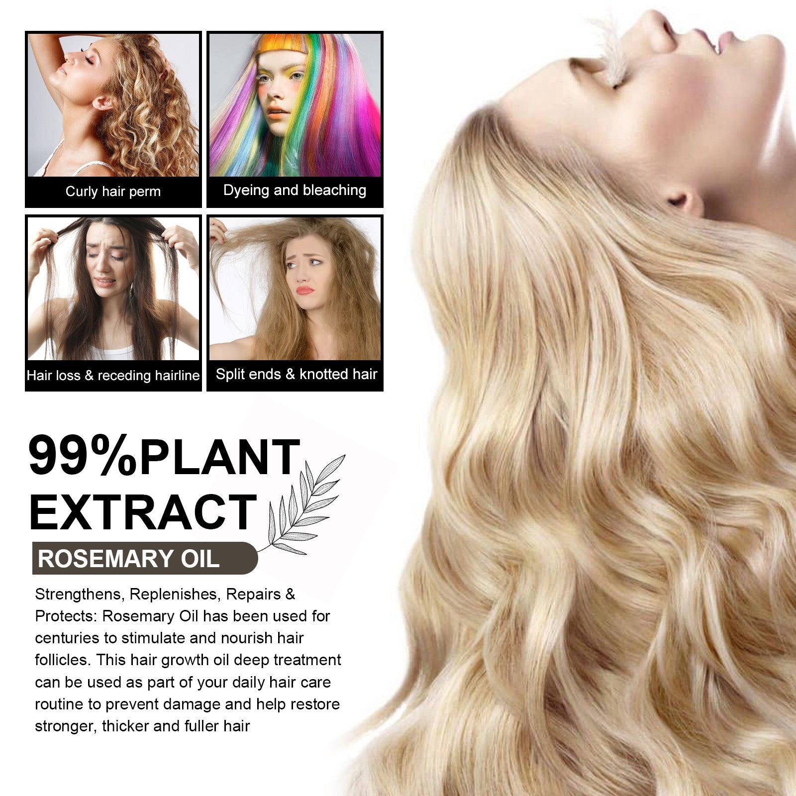 Essential Oil for Dense Hair with Rosemary Jojoba and Castor Seed - Oils dense hair essential oil seed