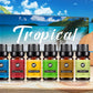 Essential Oil Set for Air Purification and Refreshing Rooms 60ml Pack of 6 - Room essential oil