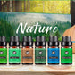 Essential Oil Set for Air Purification and Refreshing Rooms 60ml Pack of 6 - Room essential oil