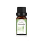 Essential Oil Set with Tea Tree Eucalyptus Lavender and More - essential oil set tea tree