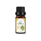 Essential Oil Set with Tea Tree Eucalyptus Lavender and More - essential oil set tea tree