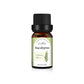 Essential Oil Set with Tea Tree Eucalyptus Lavender and More - essential oil set tea tree