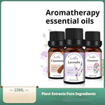 Essential Oil Set with Tea Tree Eucalyptus Lavender and More - essential oil set tea tree