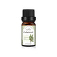 Essential Oil Set with Tea Tree Eucalyptus Lavender and More - essential oil set tea tree