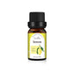 Essential Oil Set with Tea Tree Eucalyptus Lavender and More - essential oil set tea tree