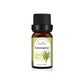 Essential Oil Set with Tea Tree Eucalyptus Lavender and More - essential oil set tea tree