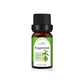 Essential Oil Set with Tea Tree Eucalyptus Lavender and More - essential oil set tea tree