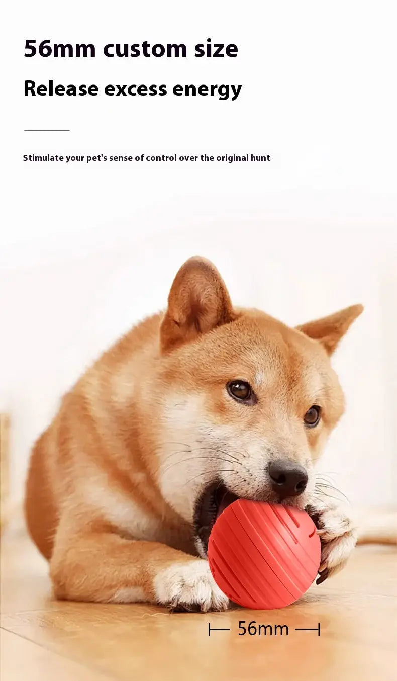 Värviline Bouncy Ball TPU lemmiklooma mänguasi koertele ja kassidele interaktiivne mäng