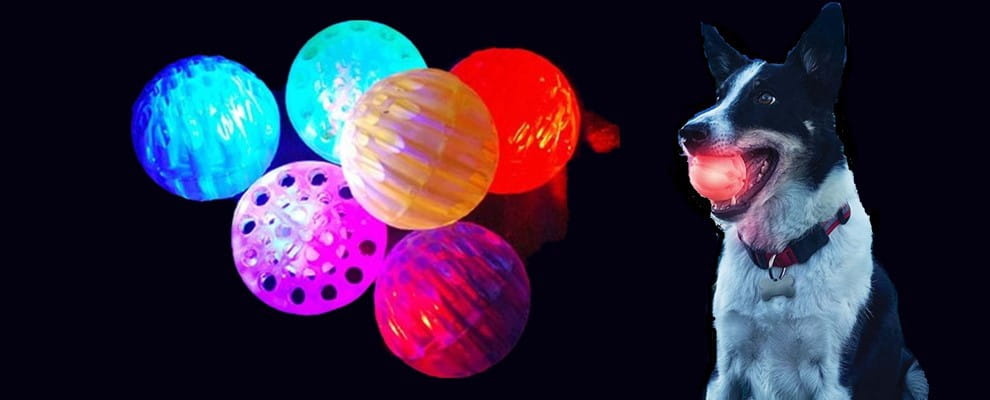 Valoisa TPR -lemmikkieläinpallot koirille ja kissoille sinisen vaaleanpunaisen keltaisen violetin kanssa