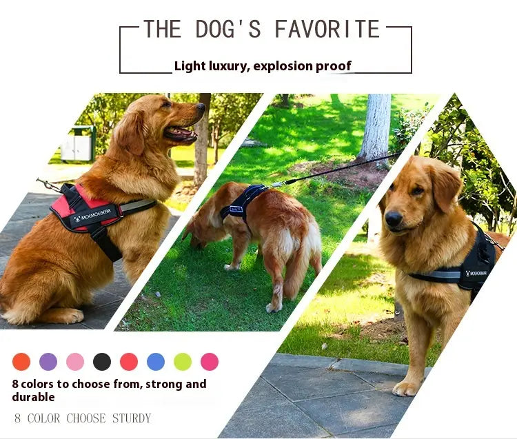 Regulowana uprzęże psów i smycz Kolorowy miękki pasek do spacerów dla zwierząt domowych