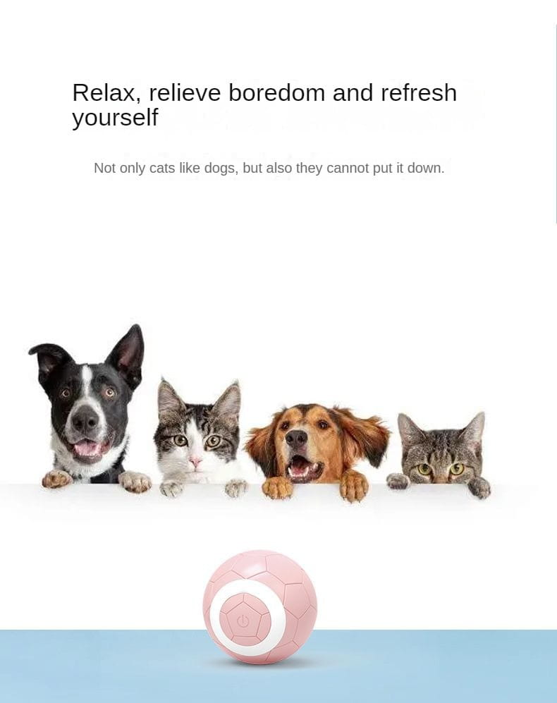 Värviline kummist lemmiklooma mänguasjapall koertele ja kassidele interaktiivne näri