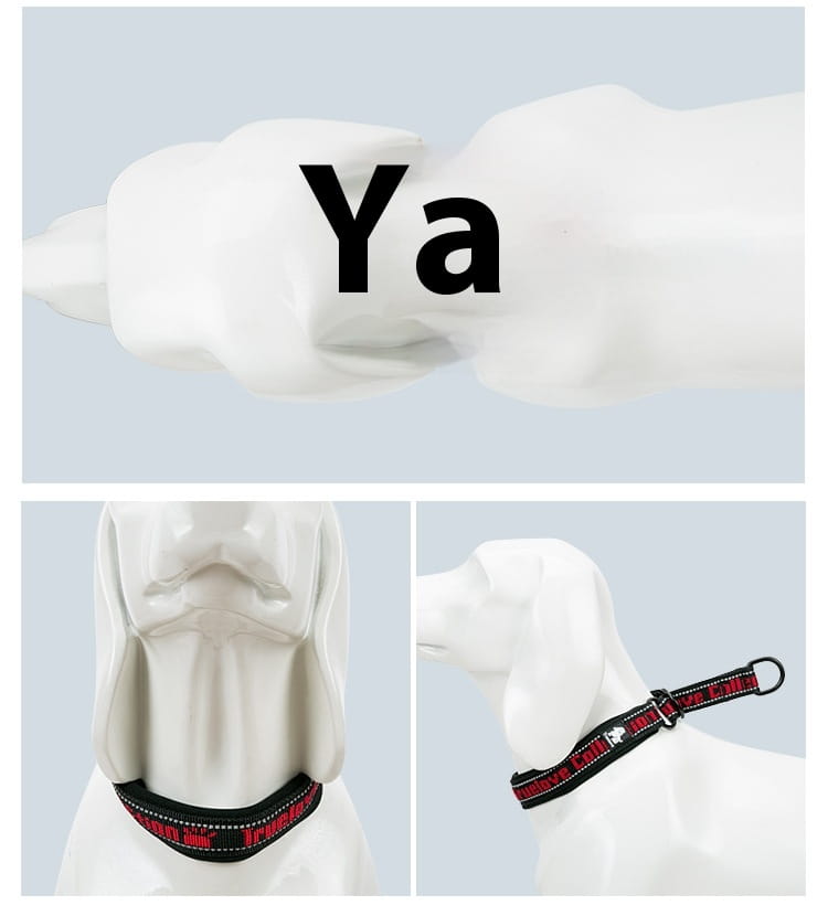 Peata inchoigeartaithe Madraí Madraí Níolóin Madraí le stuáil neoprene