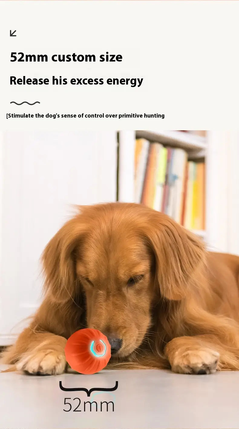 Koerapalli kumer TPR lemmiklooma mänguasi koos andmekaabliga sinise või oranži koertele