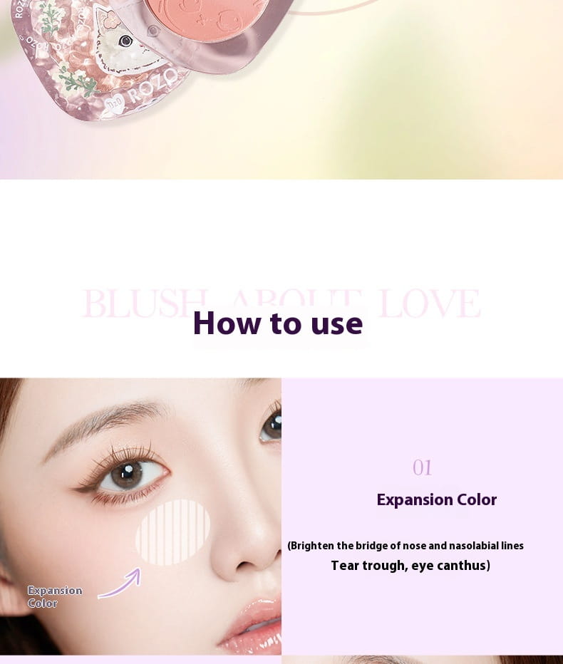 Blusher Plate x1pc with Brush for Oily Dry Sensitive and Mixed Skin Types