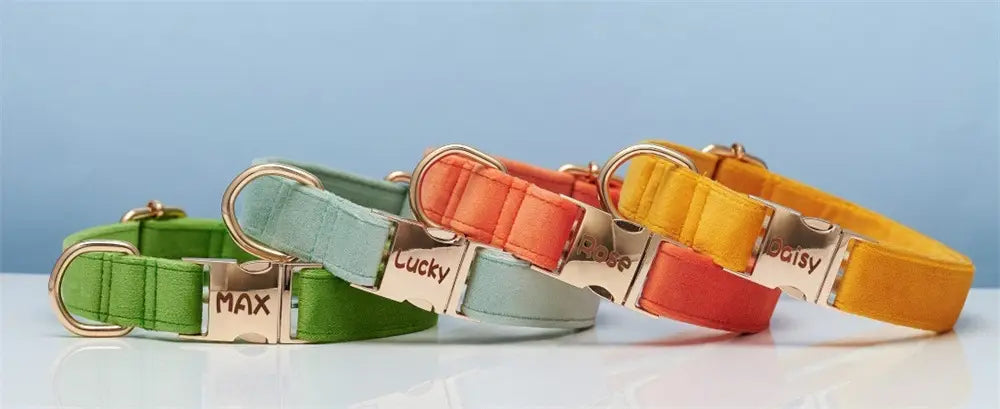 Collier de corde en orange corallien et animal de compagnie réglable vert à eau légère