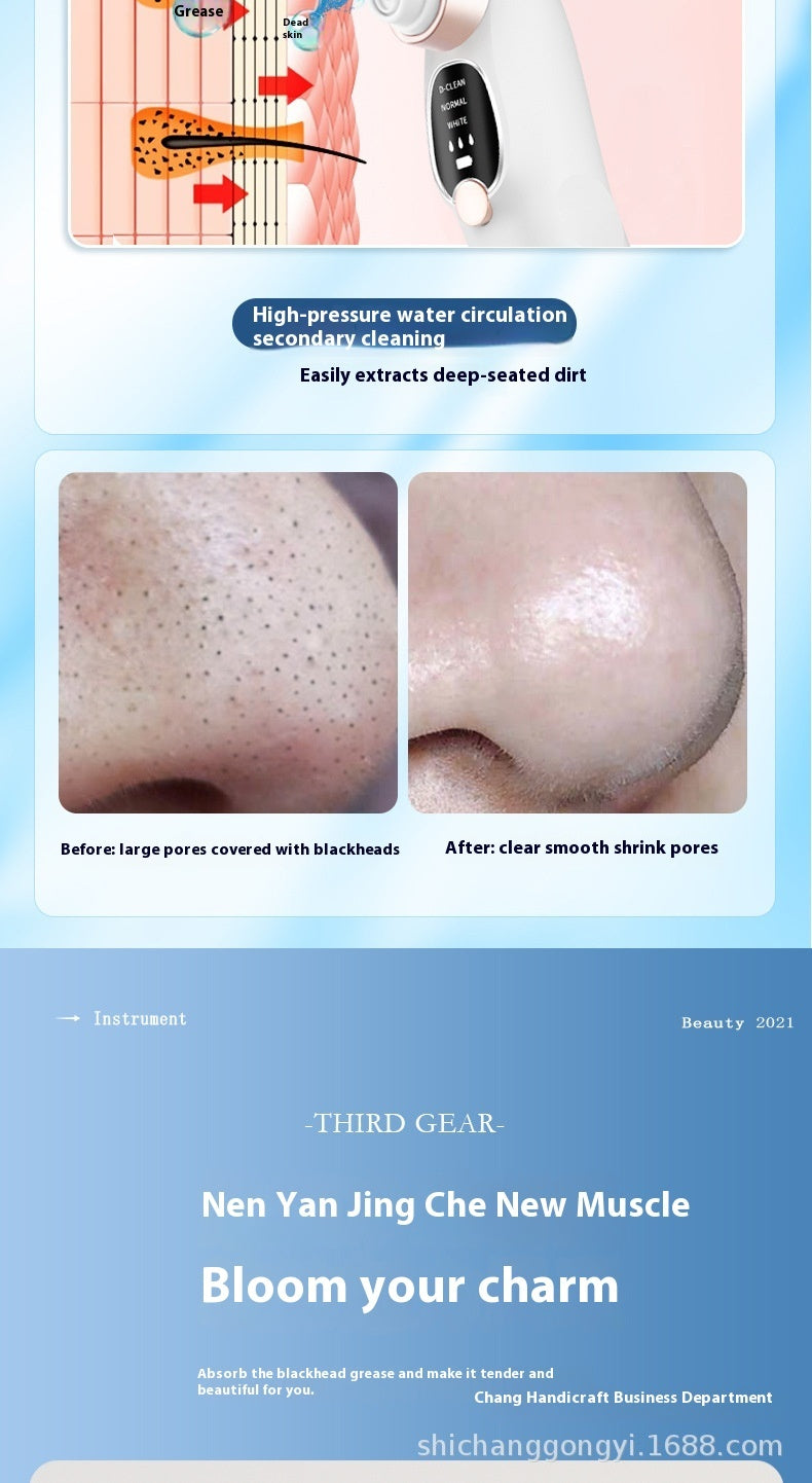 Female Household Pore Cleaning Import Oxygen Injection Skin Spray Electric Beauty Instrument - Say Goodbye to Pores