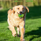 Food Drop Ball for Puppies 8CM Interactive Treat Dispenser Toy - Puppy food drop ball opp bag