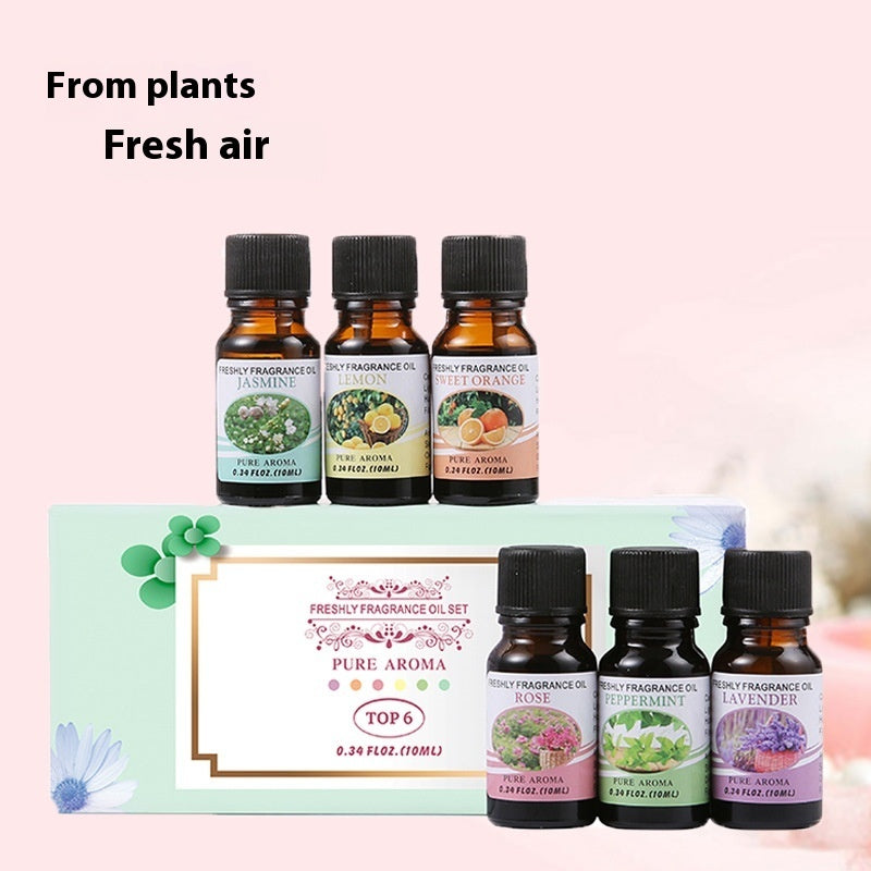 Fresh Air Net Gift Box with Essential Oils for Aromatherapy Humidifier - fragrant stone aromatherapy humidifier water