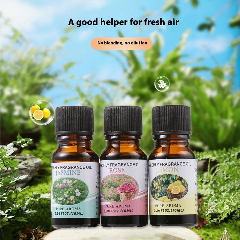 Fresh Air Net Gift Box with Essential Oils for Aromatherapy Humidifier - fragrant stone aromatherapy humidifier water