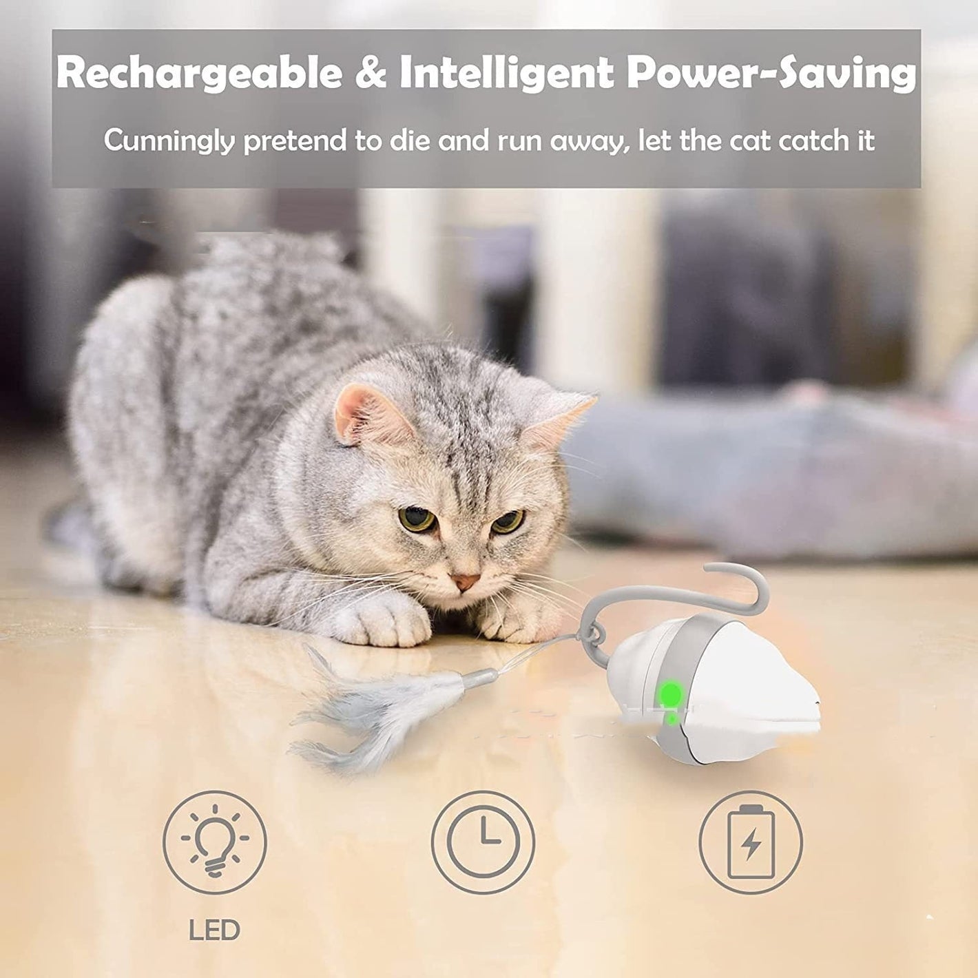 Gray Feather Cat Toy Scratch Resistant Interactive Plastic Pet - cat toy feather