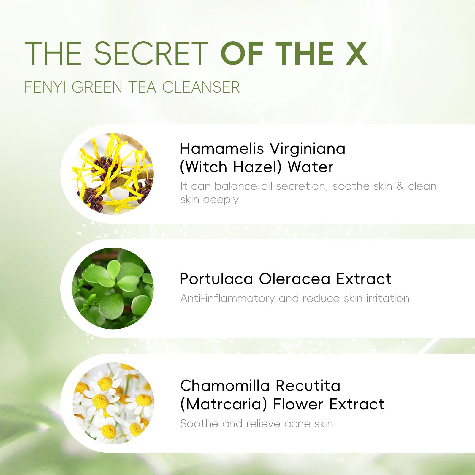 Green Tea Facial Cleanser for Skin Care 50ml Natural - Teleplus green tea facial cleanser care