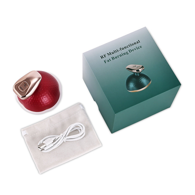 Handheld EMS Micro Current Massage Beauty Instrument for Facial Therapy - and Giggles handheld ems micro current