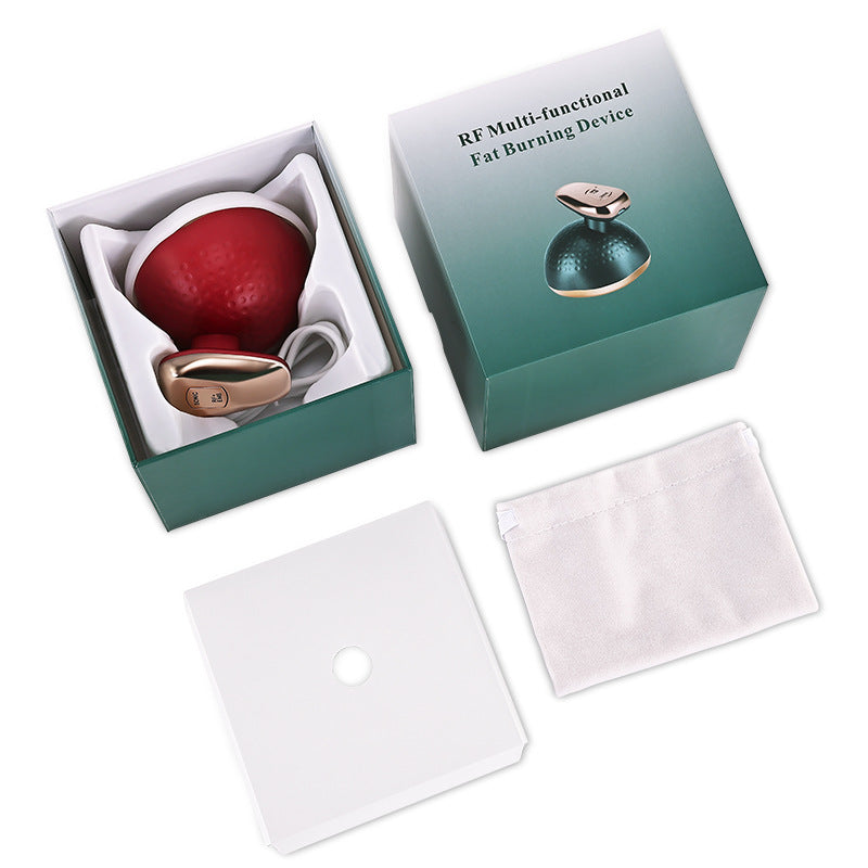 Handheld EMS Micro Current Massage Beauty Instrument for Facial Therapy - and Giggles handheld ems micro current