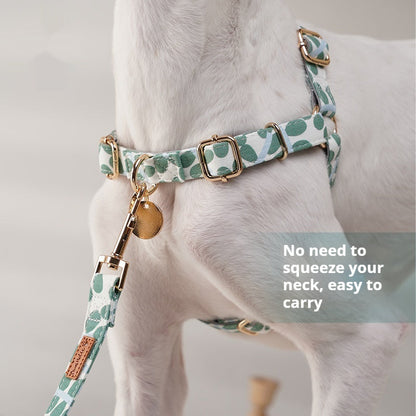 Hands-Free Pet Leash and Chest Strap Suit Adjustable Circumference - Teleplus suit [chest chest circumference strap