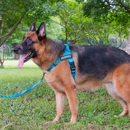 Hands Free Pet Leash Holding Rope Adjustable Nylon Dog Walking Lead - Teleplus holding rope