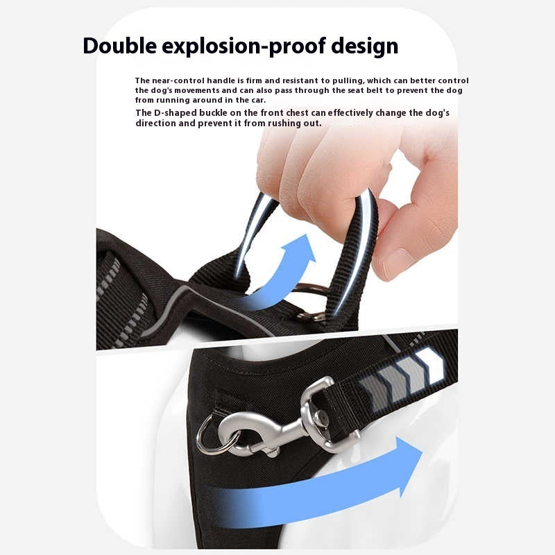 Hands-Free Pet Leash with Adjustable Breast Strap for Chest Circumference XS S - Teleplus [chest circumference breast