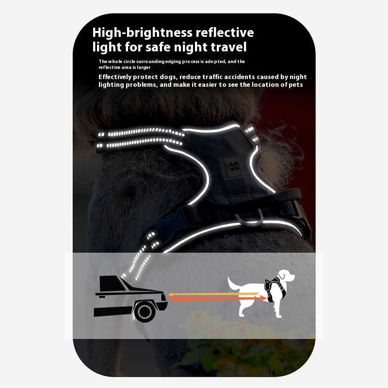 Hands-Free Pet Leash with Adjustable Breast Strap for Chest Circumference XS S - Teleplus [chest circumference breast