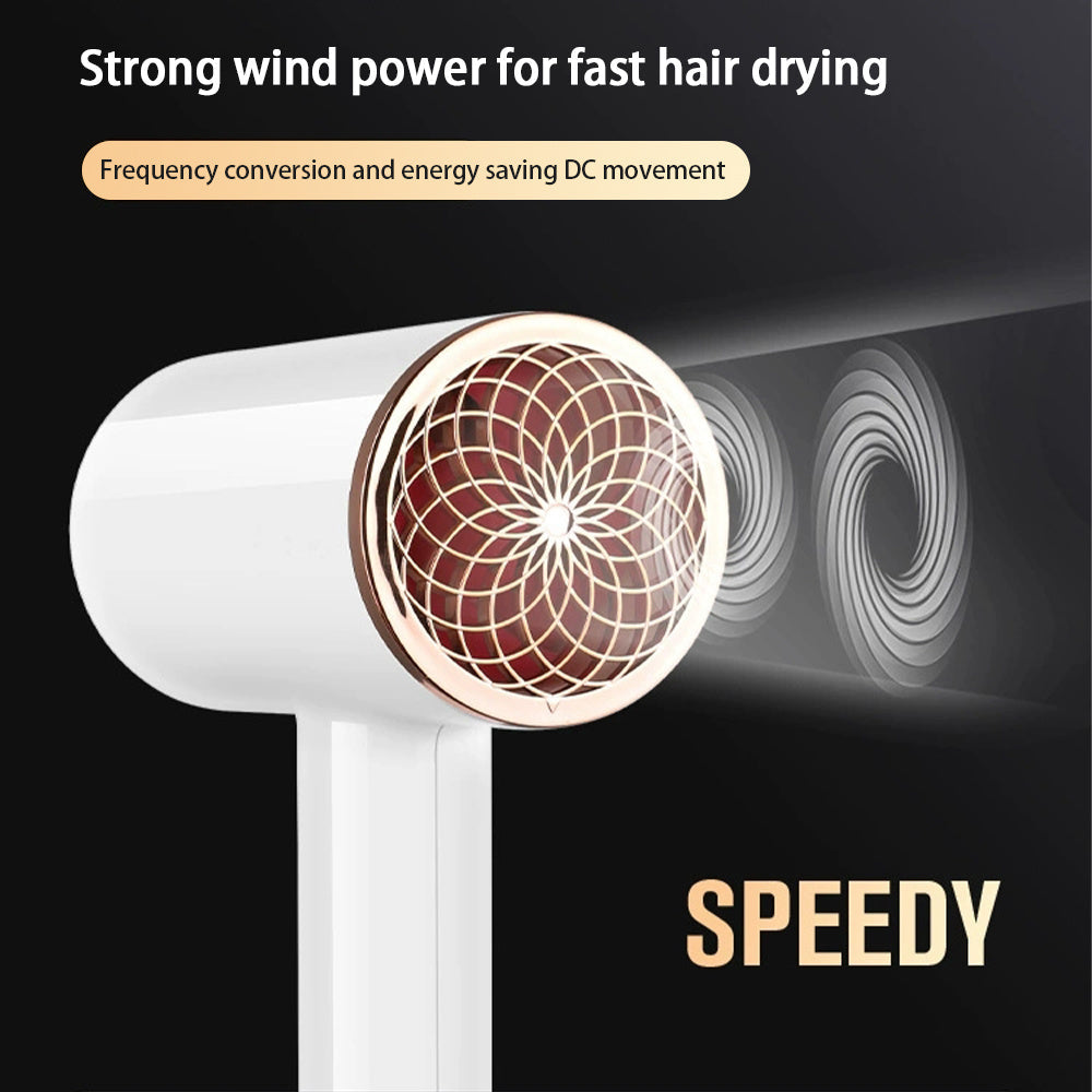 High Power Hair Dryer with Fast Drying and Gentle Wind Mode for the United States - united states chf hair dryer