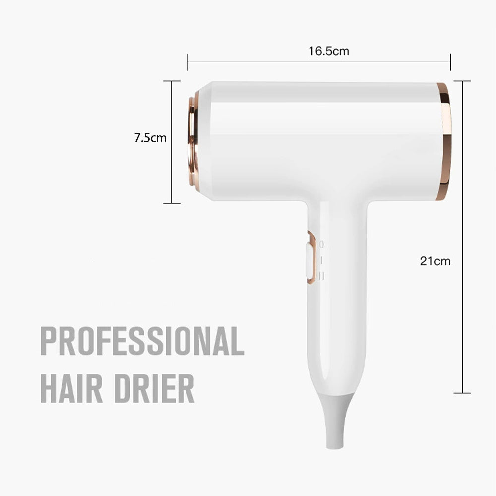 High Power Hair Dryer with Fast Drying and Gentle Wind Mode for the United States - united states chf hair dryer