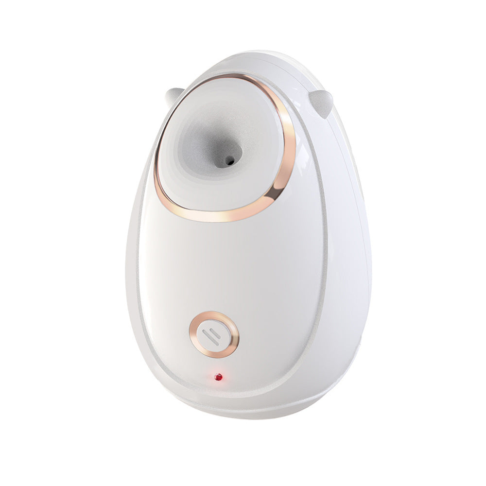 Home Facial Beauty Hot Steaming Face Instrument for Skin Care - Steam Your and Channel Inner Guru home facial beauty
