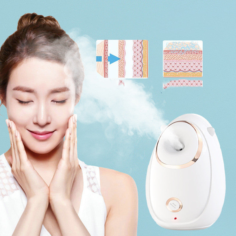 Home Facial Beauty Hot Steaming Face Instrument for Skin Care - Steam Your and Channel Inner Guru home facial beauty