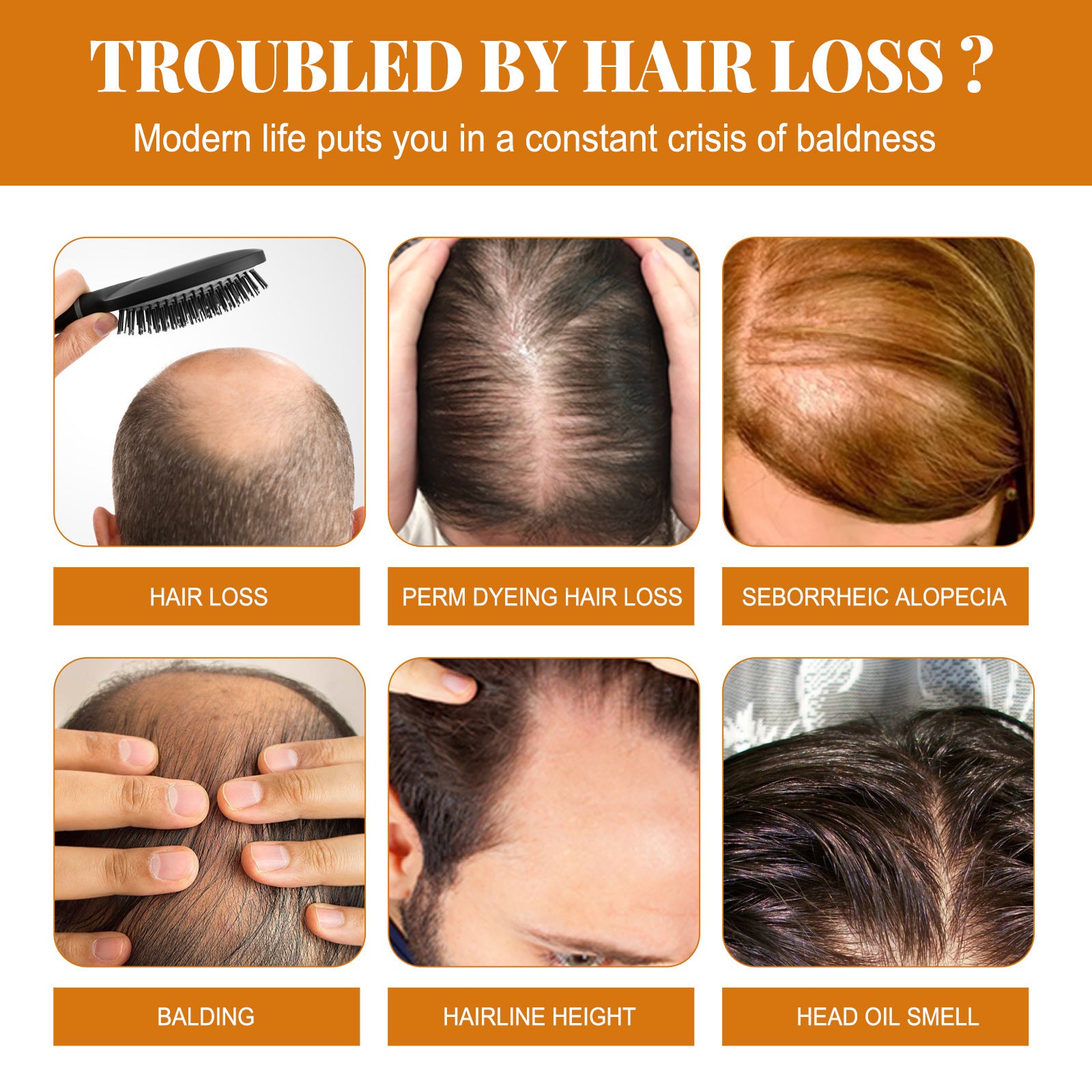 Horse Oil Shampoo for Deep Cleansing Scalp and Dandruff - horse oil shampoo deep cleansing scalp dandruff